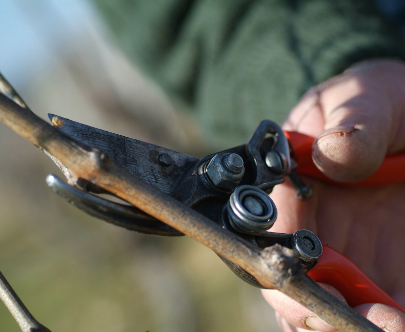 Design sans titre(10)