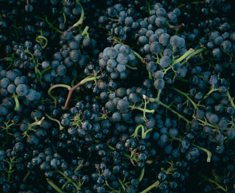 Design sans titre(4)