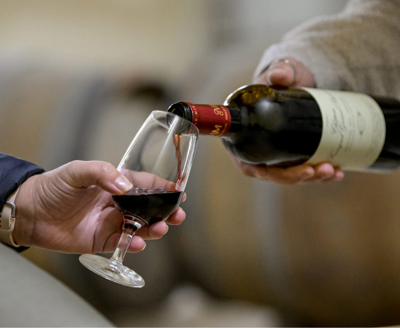 Design sans titre(6)